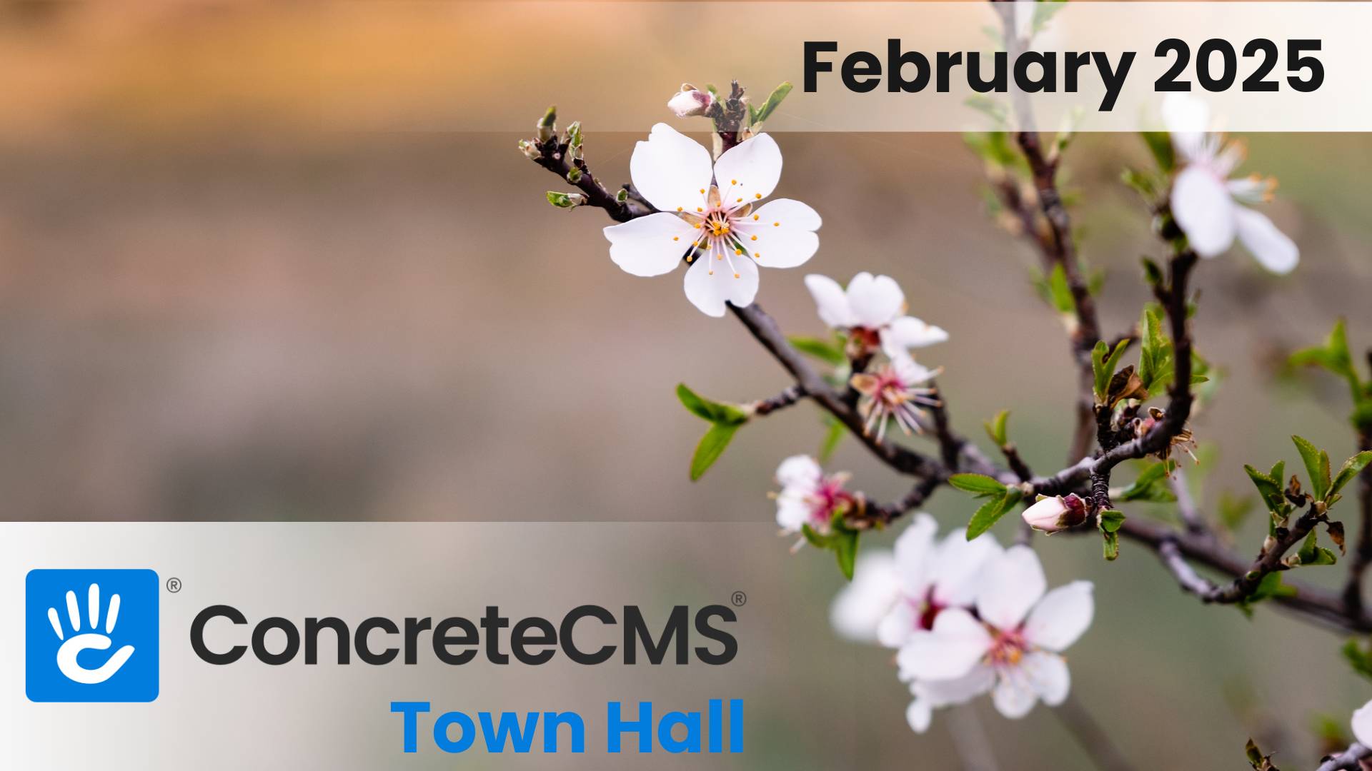 February 2025 Concrete CMS Community Round Up