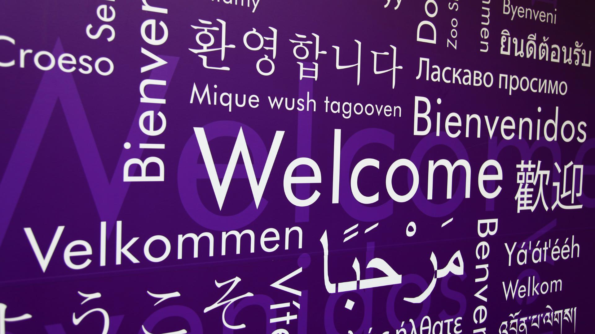 Embracing Multilingual Excellence with Concrete CMS